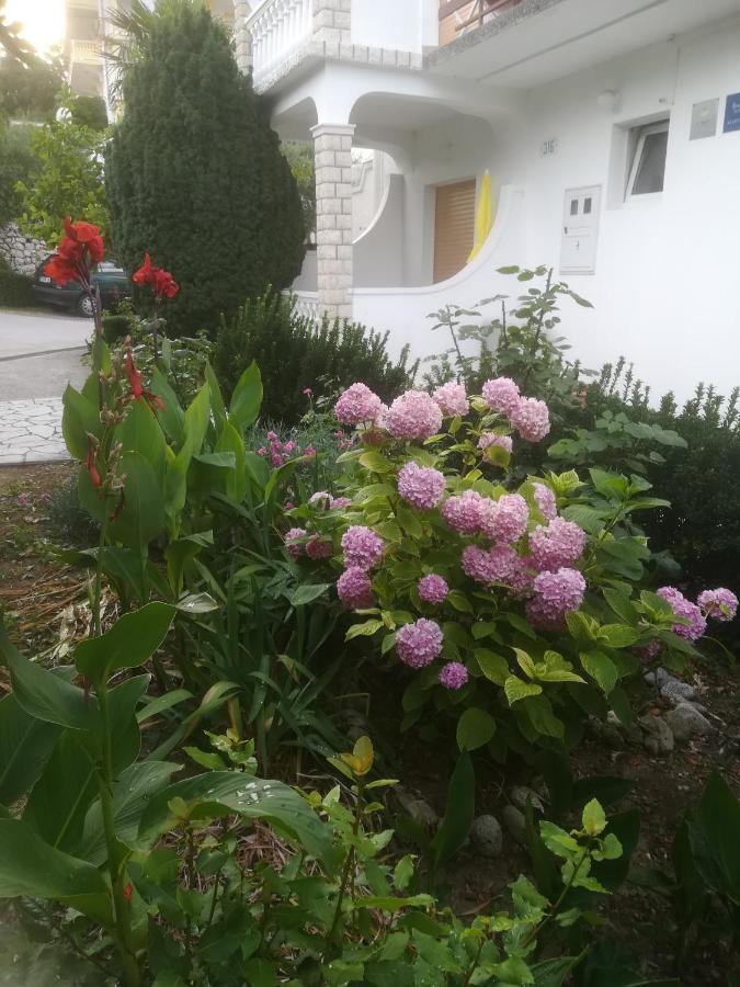 Alemka Apartment Banjol Luaran gambar